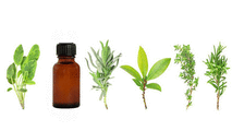 Indian Head Massage. herbs